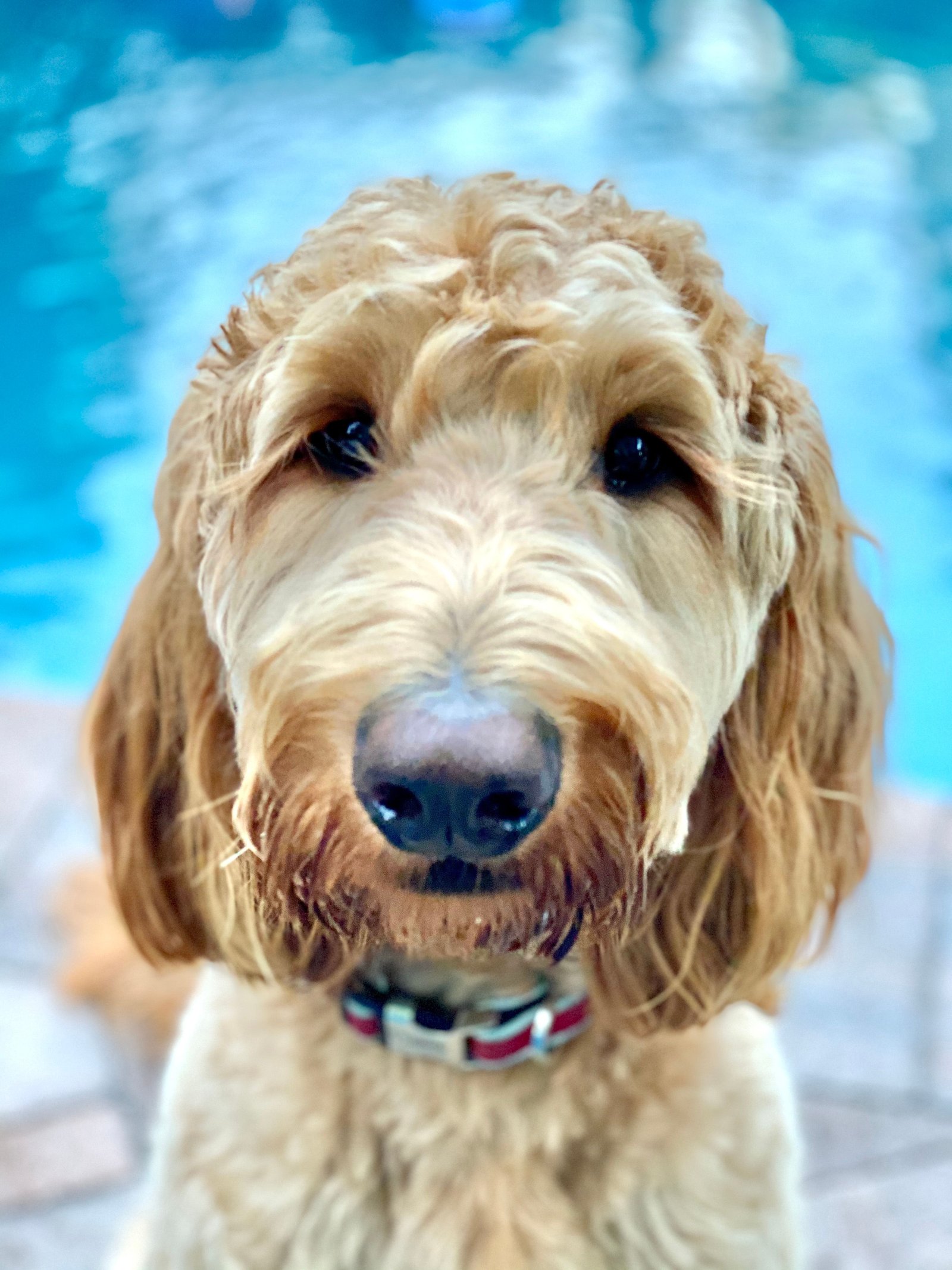 imagen de galeria de 5 elementos