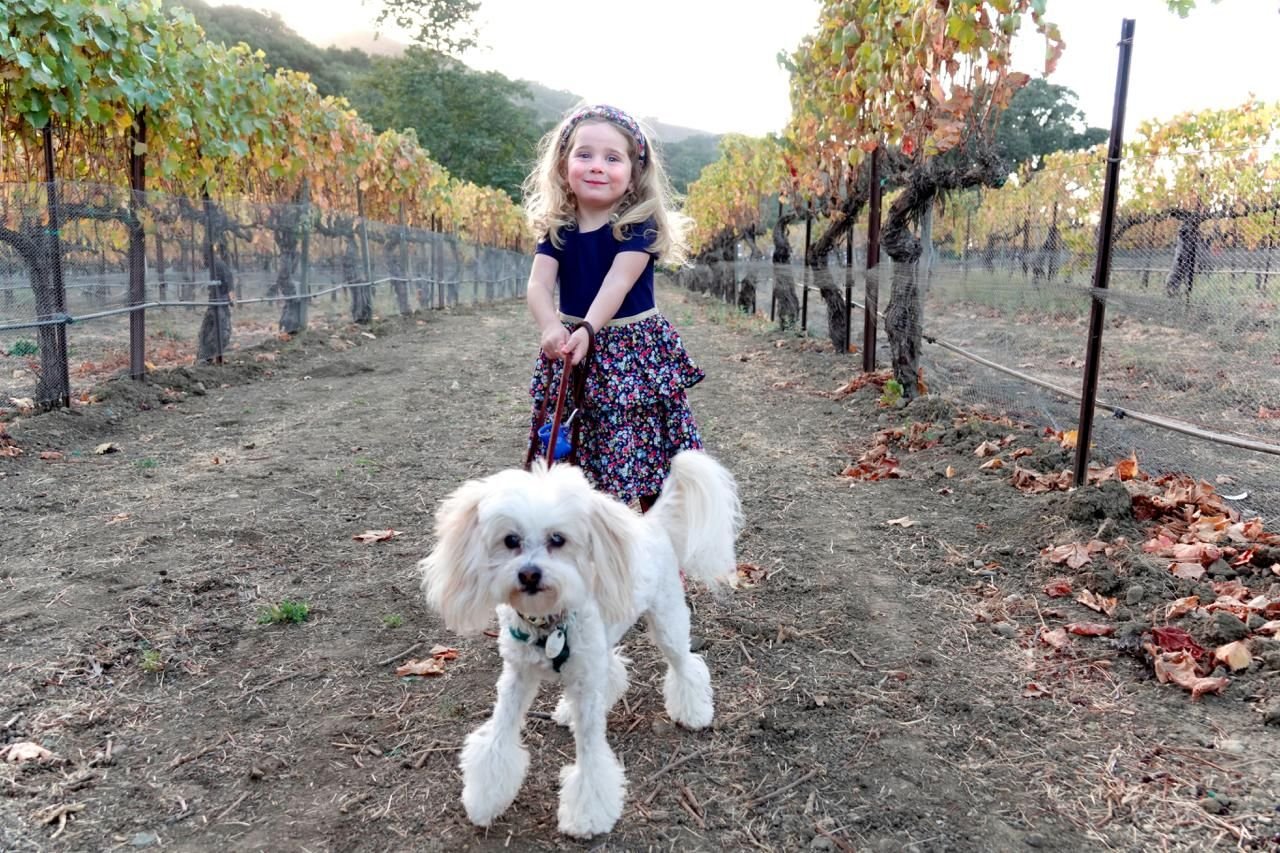 imagen de galería de 5 elementos