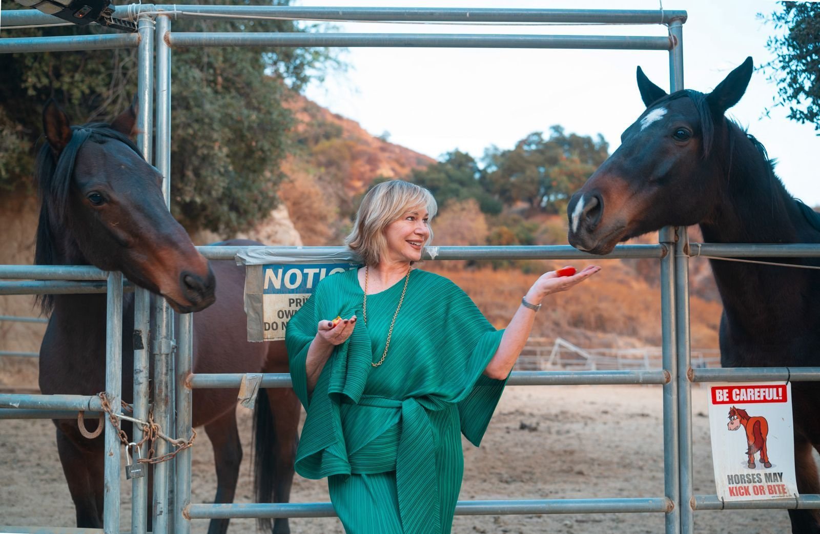 imagen de galería de 5 elementos