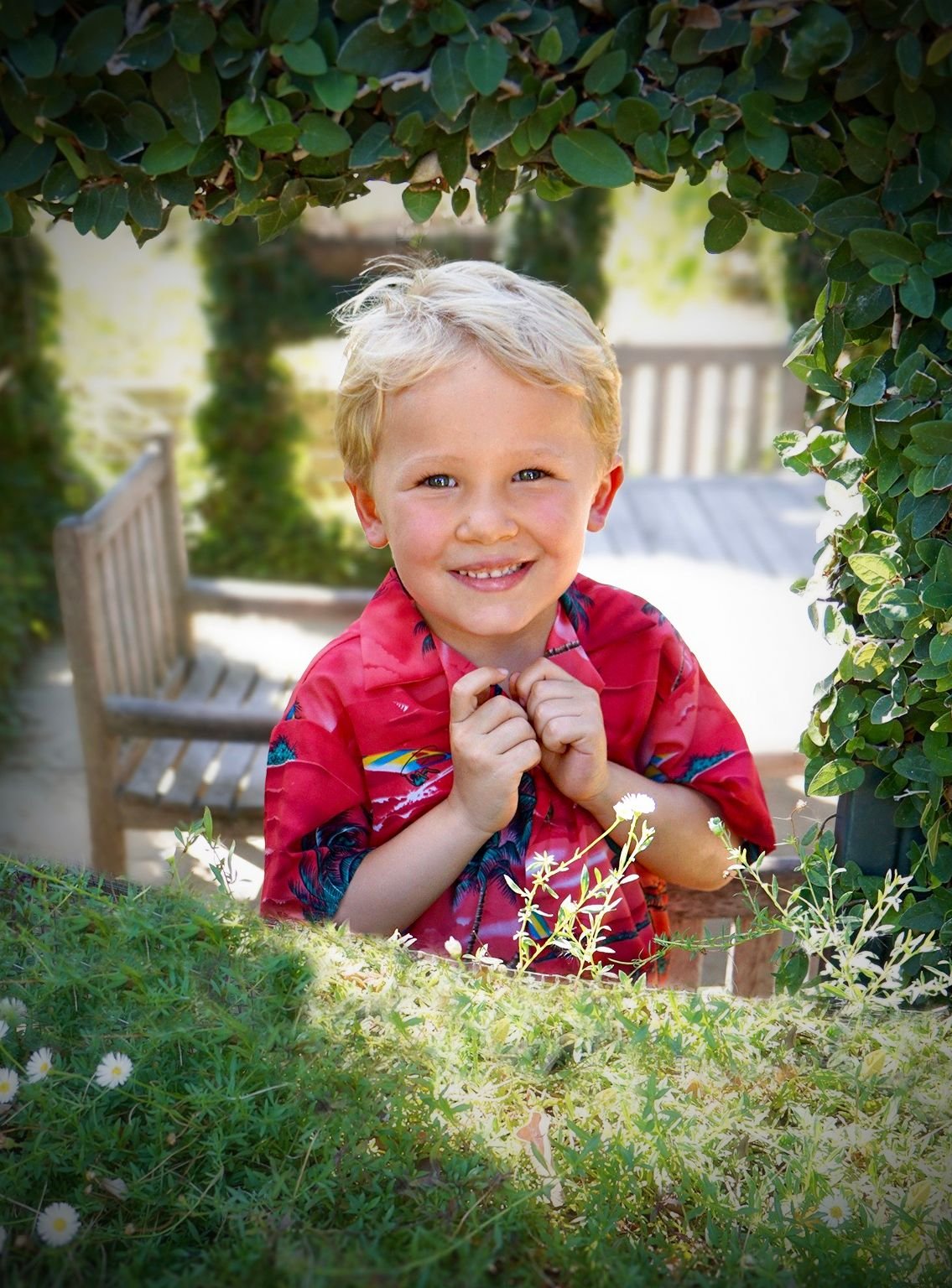 imagen de galería de 5 elementos