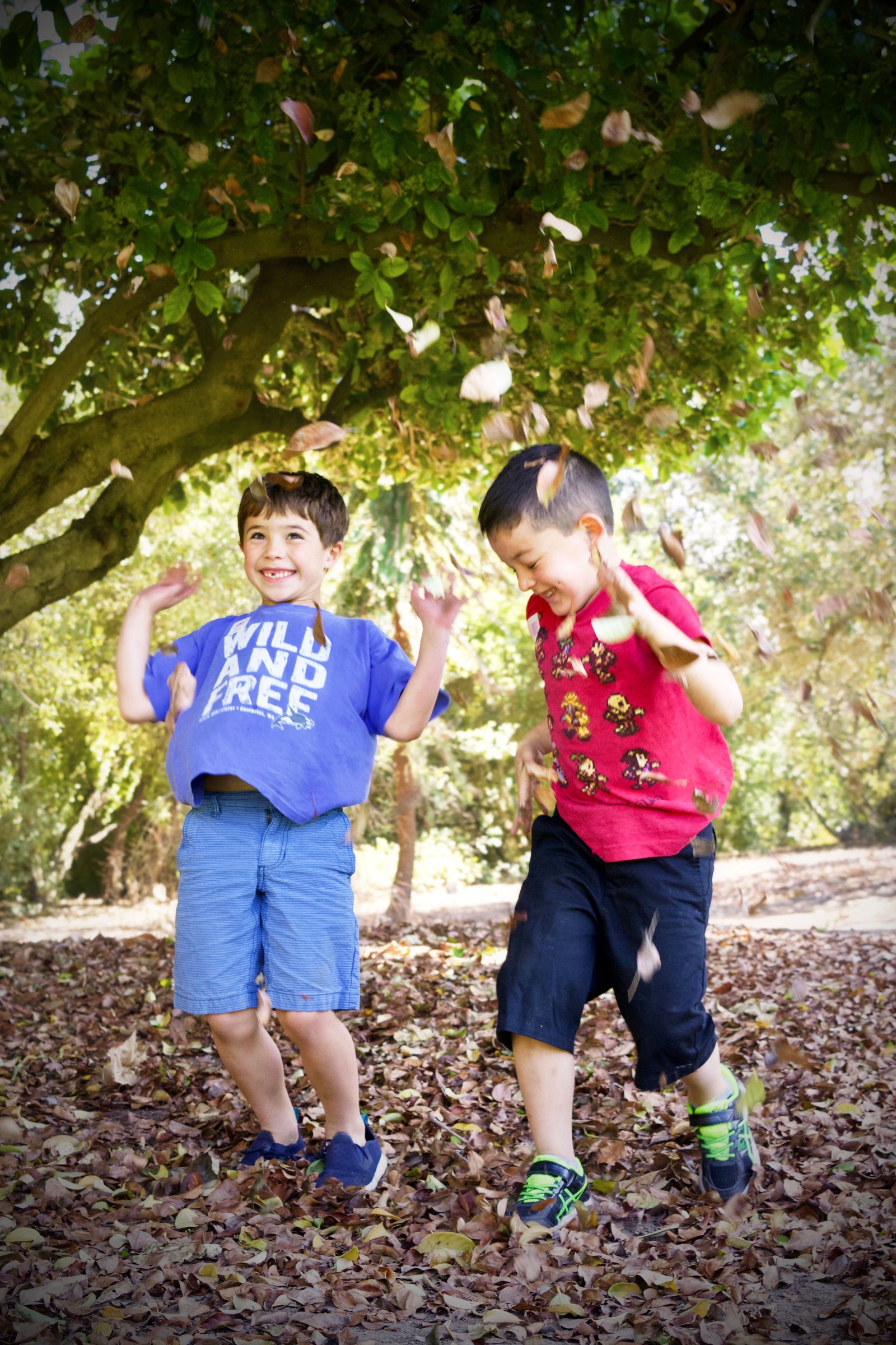 imagen de galería de 5 elementos