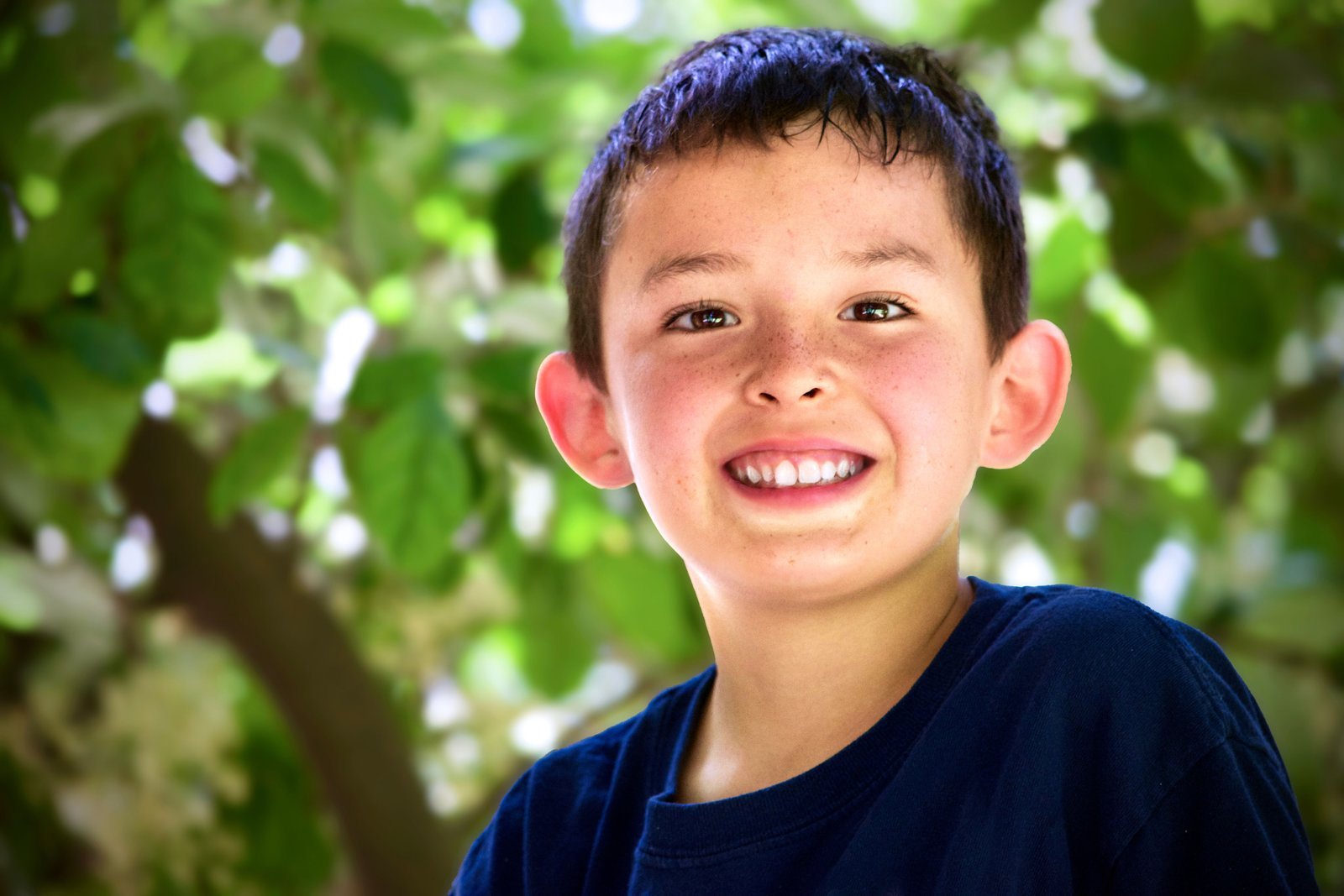 imagen de galería de 5 elementos