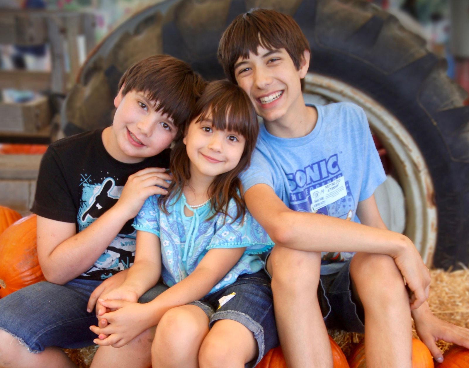 imagen de galería de 5 elementos