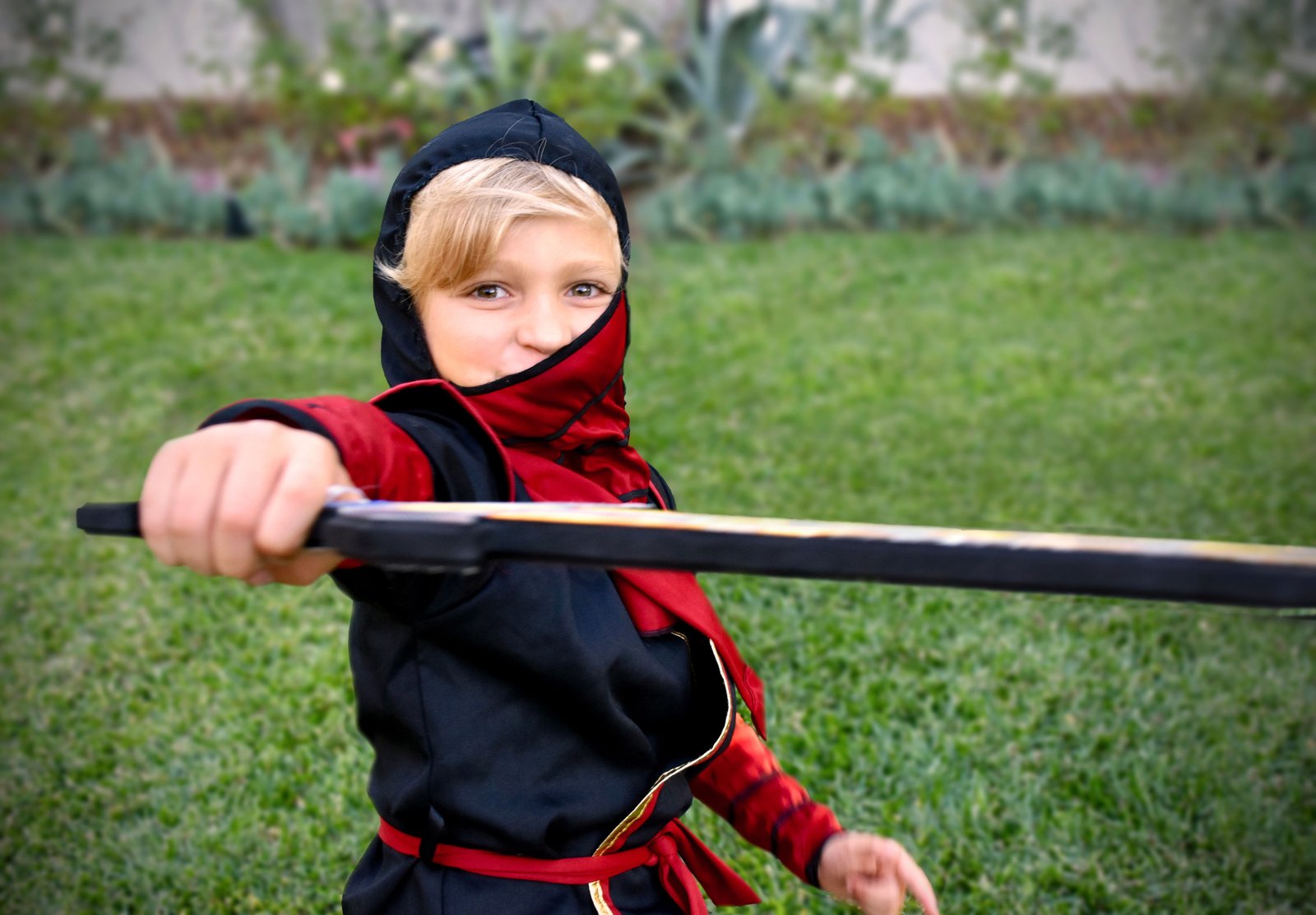 imagen de galería de 5 elementos