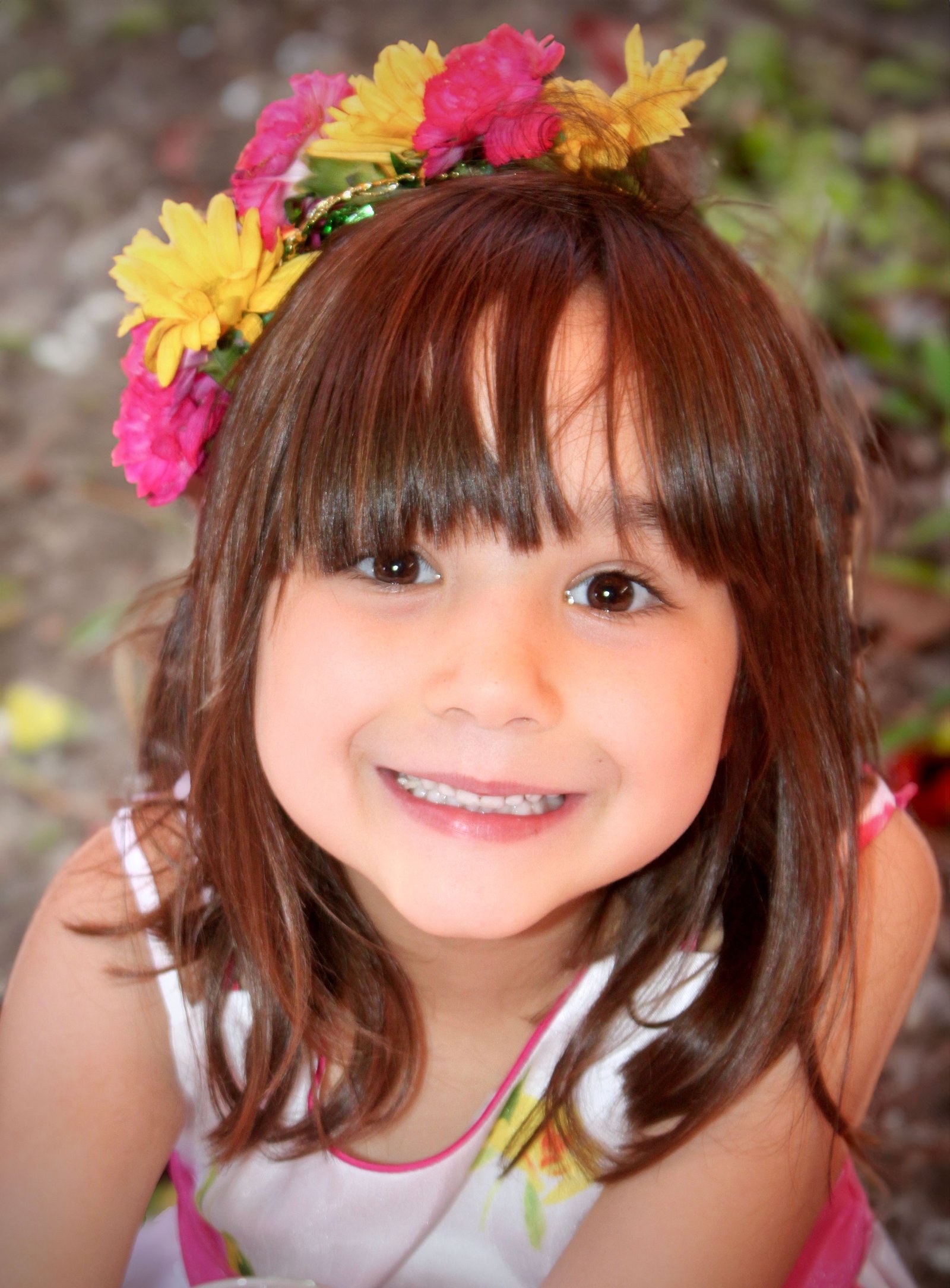 imagen de galeria de 5 elementos