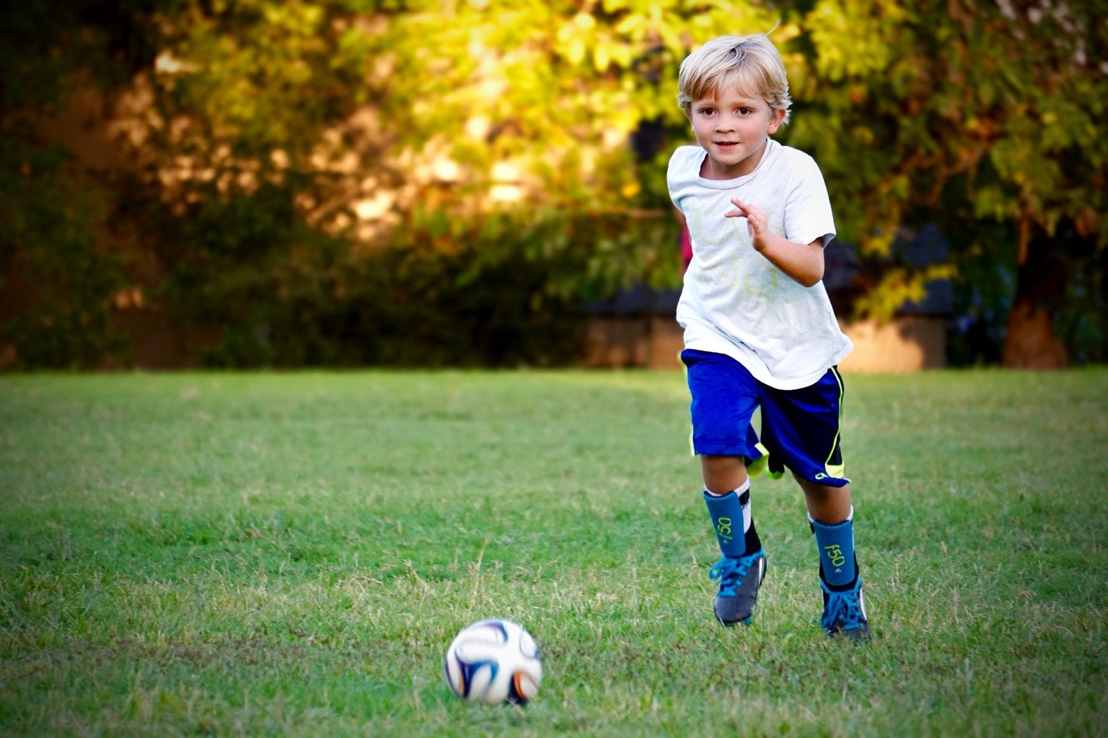 imagen de galería de 5 elementos